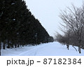 雪の散歩道 87182384