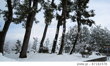 冬の日常風景 冬の日常風景 87182476