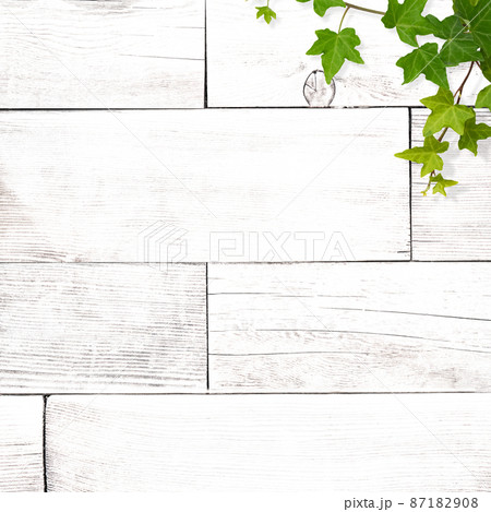 白い木目とアイビーのナチュラルな背景 白い木目とアイビーのナチュラルな背景 87182908