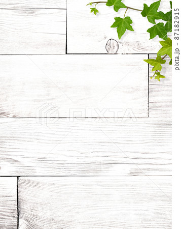 白い木目とアイビーのナチュラルな背景 白い木目とアイビーのナチュラルな背景 87182915