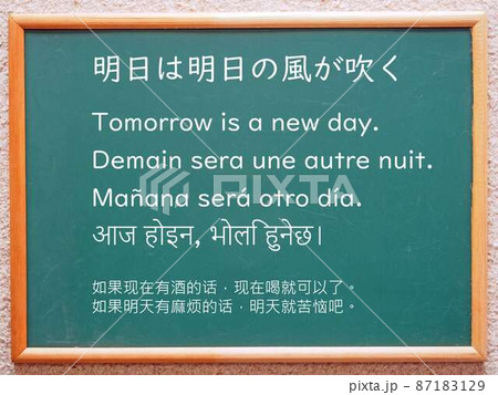 普遍的な真理(明日は明日の風が吹く) 普遍的な真理(明日は明日の風が吹く) 87183129