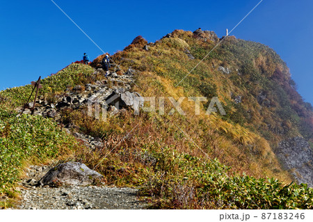 草紅葉の谷川岳・トマの耳 87183246