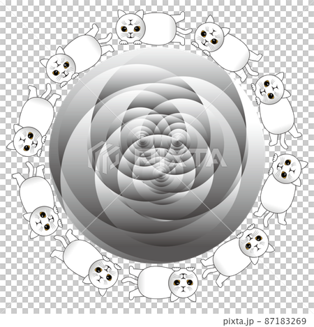 あれれ変顔　白猫のサークル2（ニャンコに騙される人間） 87183269