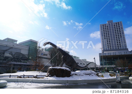 福井市駅前　恐竜広場　積雪風景　冬 87184316