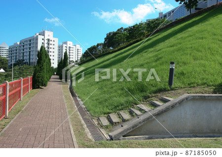22 May 2005 a Footpath with tree at the HKUST 87185050
