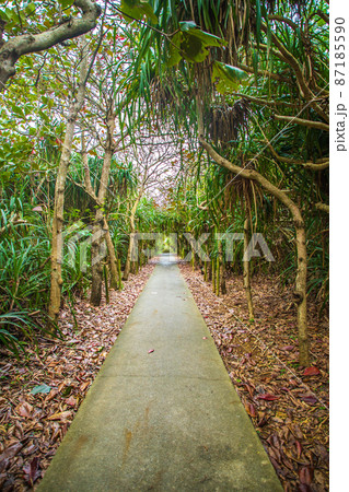 沖縄県宮古島 通り池 沖縄県宮古島 通り池 87185590