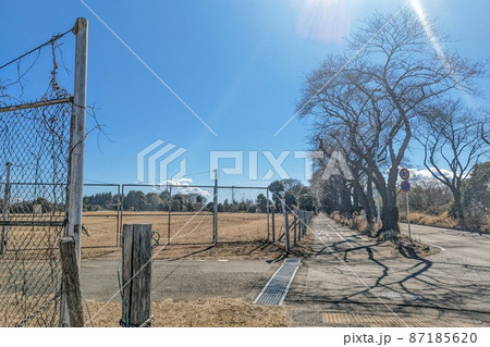 【瀬谷】軍施設の遺構、都会の中の広大な原っぱ 【瀬谷】軍施設の遺構、都会の中の広大な原っぱ 87185620