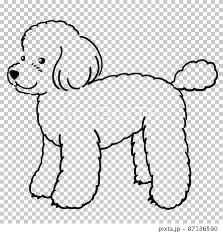 トイプードルのイラスト（線画のみ） 87186590