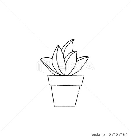 観葉植物 87187164