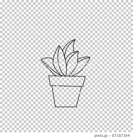 観葉植物 87187164