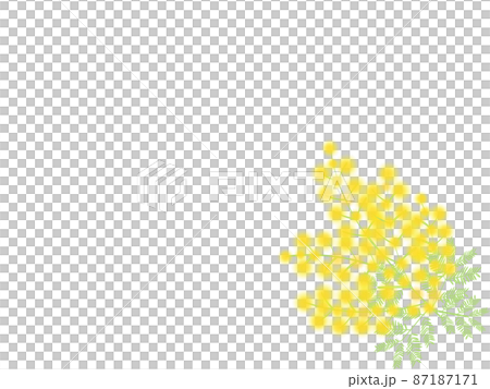 幸せの花ふわふわミモザ 87187171
