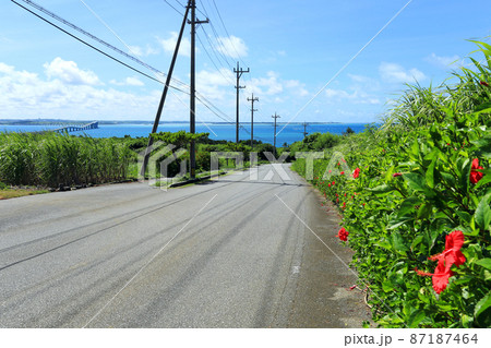 沖縄　伊良部島の風景 87187464