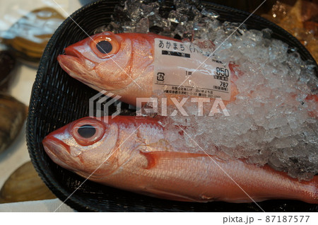 那覇 いゆまち 魚市場 那覇 いゆまち 魚市場 87187577