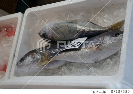 那覇 いゆまち 魚市場 那覇 いゆまち 魚市場 87187589