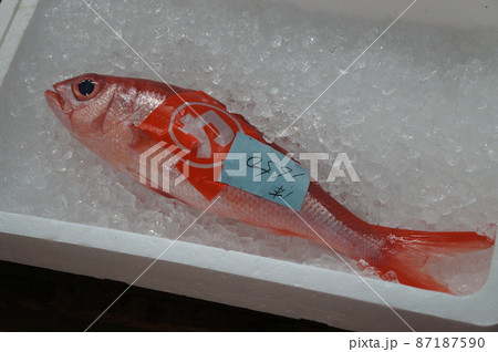 那覇 いゆまち 魚市場 那覇 いゆまち 魚市場 87187590