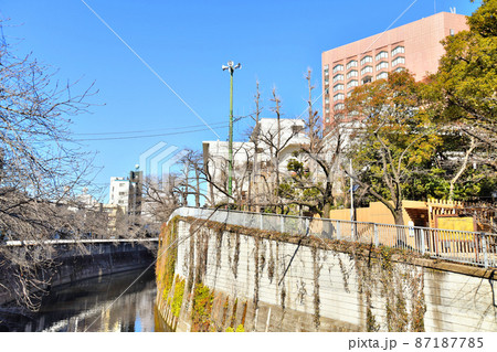 大滝橋／神田川より上流方向を望む(東京都文京区)【2022.2】 87187785