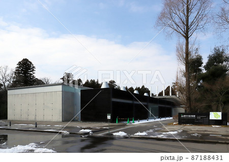 金津創作の森美術館(福井県 あわら市) 金津創作の森美術館(福井県 あわら市) 87188431