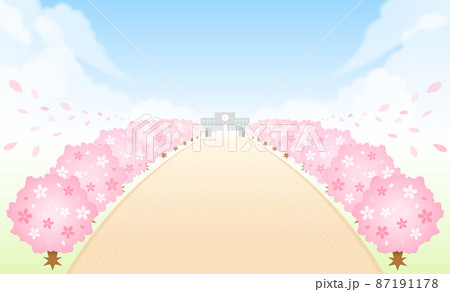 学校へと続く桜並木 入学式と卒業式 学校へと続く桜並木 入学式と卒業式 87191178