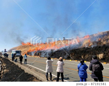 熊本県・阿蘇 草千里ヶ浜の野焼きを楽しむ見物者 熊本県・阿蘇 草千里ヶ浜の野焼きを楽しむ見物者 87191581