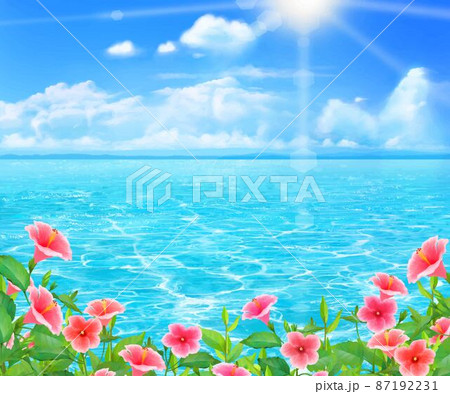 太陽の光差し込む青い空の下、美しい海沿いにハイビスカスの咲く夏のおしゃれフレーム背景素材 87192231