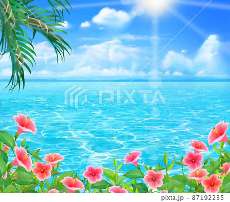 太陽の光差し込む青い空の下、美しい海沿いにヤシの木とハイビスカスの咲く夏のおしゃれフレーム背景素材 87192235