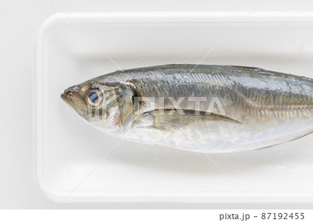 魚 アジ 鯵 魚類 海水魚 食材 鰺 小アジ 魚 アジ 鯵 魚類 海水魚 食材 鰺 小アジ 87192455