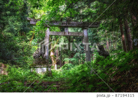 【富山県】稲村廃集落の廃神社 87194315