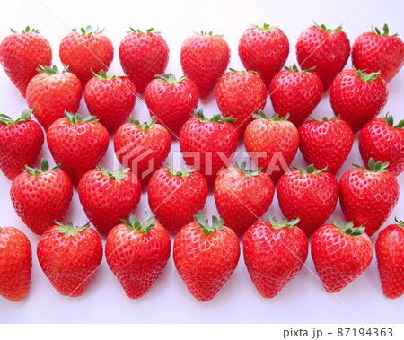 栃木県産 新品種いちご とちあいか 栃木県産 新品種いちご とちあいか 87194363