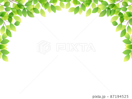 新緑葉っぱアーチのフレームヨコ 87194525
