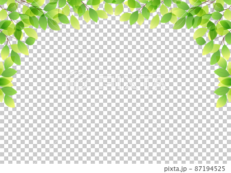新緑葉っぱアーチのフレームヨコ 87194525