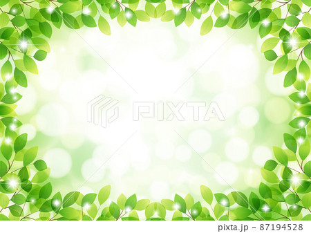 葉っぱぐるりの新緑キラキラ背景 87194528