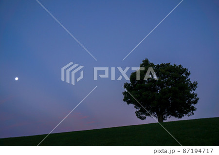 夜の訪れ 87194717