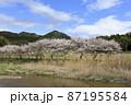 奈良県芳野川の桜吹雪 87195584