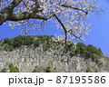 奈良県曽爾村屏風岩公苑の桜 87195586