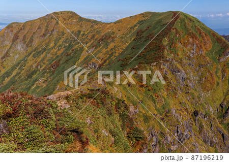 谷川岳・オキの耳から見る紅葉の一ノ倉岳と茂倉岳 87196219