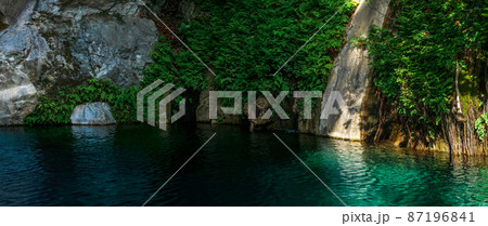 tropical vegetation on rocks in a canyon near clear blue water tropical vegetation on rocks in a canyon near clear blue water 87196841