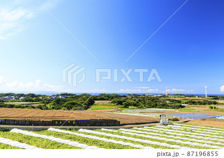 畑（夏）　 87196855