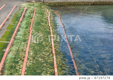 茨城県日立市　会瀬港の湾内 87197278