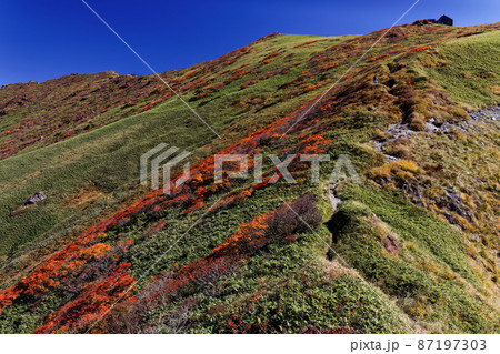 谷川岳山頂と紅葉の斜面 87197303