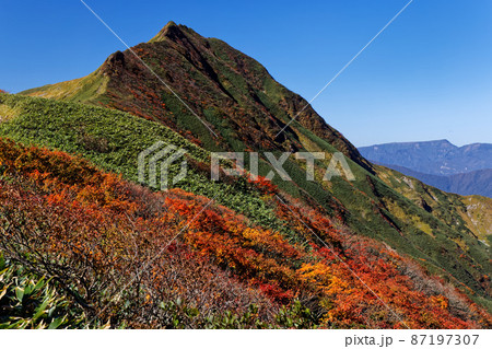 紅葉の谷川連峰縦走路から見るオジカ沢ノ頭と苗場山 87197307