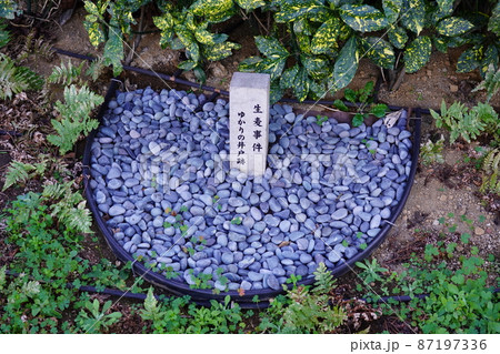 生麦事件 ゆかりの井戸跡 87197336