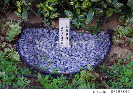 生麦事件 ゆかりの井戸跡 87197340