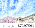 桜色の手すりの洋館と満開の庭桜に爽快な雲の空 87197591