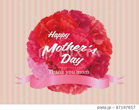 母の日　カーネーション　背景素材 87197657