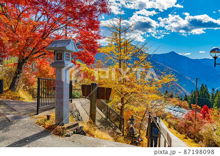 【8K】秩父　紅葉【風景】 87198098