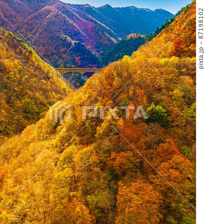 【8K】秩父　紅葉【風景】 87198102