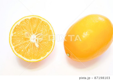 八丈フルーツレモン 87198103