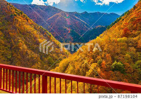【8K】秩父 紅葉【風景】 【8K】秩父 紅葉【風景】 87198104