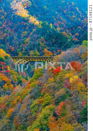 【8K】秩父　紅葉【風景】 87198121