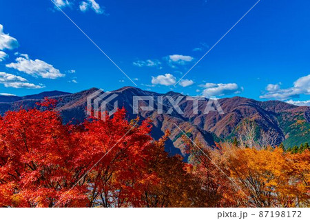 【8K】秩父 紅葉【風景】 【8K】秩父 紅葉【風景】 87198172